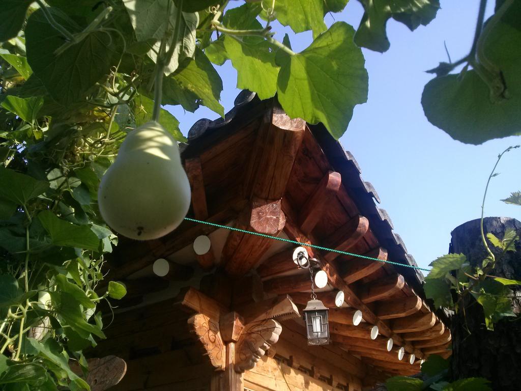 Hotel Dalbbit Hyang Čondžu Exteriér fotografie